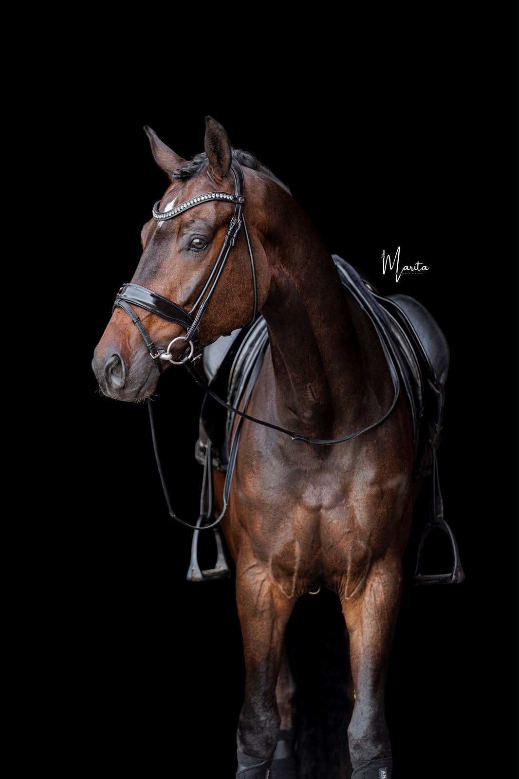 Figment EQ studio portrait, side