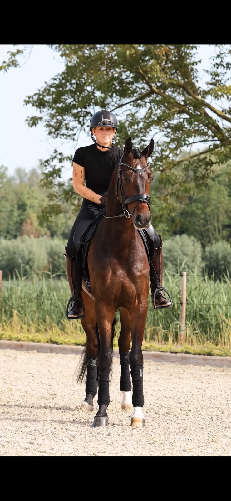 Dressage horse in motion, ridden by Sanne Vos